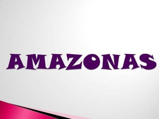 AMAZONAS 