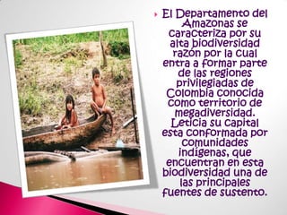 El Departamento del Amazonas se caracteriza por su alta biodiversidad razón por la cual entra a formar parte de las regiones privilegiadas de Colombia conocida como territorio de megadiversidad. Leticia su capital esta conformada por comunidades indígenas, que encuentran en esta biodiversidad una de las principales fuentes de sustento.