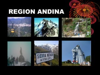 REGION ANDINA

 