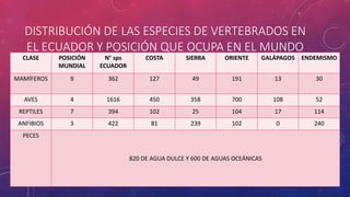 DISTRIBUCIÓN DE LAS ESPECIES DE VERTEBRADOS EN
EL ECUADOR Y POSICIÓN QUE OCUPA EN EL MUNDO
CLASE POSICIÓN
MUNDIAL
N° sps
ECUADOR
COSTA SIERRA ORIENTE GALÁPAGOS ENDEMISMO
MAMÍFEROS 9 362 127 49 191 13 30
AVES 4 1616 450 358 700 108 52
REPTILES 7 394 102 25 104 17 114
ANFIBIOS 3 422 81 239 102 0 240
PECES
820 DE AGUA DULCE Y 600 DE AGUAS OCEÁNICAS
 