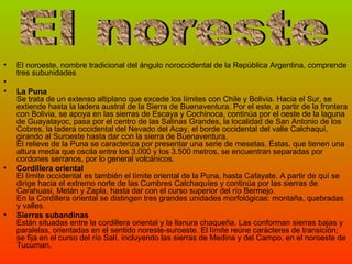 El noroeste, nombre tradicional del ángulo noroccidental de la República Argentina, comprende tres subunidades La Puna Se trata de un extenso altiplano que excede los límites con Chile y Bolivia. Hacia el Sur, se extiende hasta la ladera austral de la Sierra de Buenaventura. Por el este, a partir de la frontera con Bolivia, se apoya en las sierras de Escaya y Cochinoca, continúa por el oeste de la laguna de Guayatayoc, pasa por el centro de las Salinas Grandes, la localidad de San Antonio de los Cobres, la ladera occidental del Nevado del Acay, el borde occidental del valle Calchaquí, girando al Suroeste hasta dar con la sierra de Buenaventura. El relieve de la Puna se caracteriza por presentar una serie de mesetas. Éstas, que tienen una altura media que oscila entre los 3.000 y los 3.500 metros, se encuentran separadas por cordones serranos, por lo general volcánicos. Cordillera oriental El límite occidental es también el límite oriental de la Puna, hasta Cafayate. A partir de quí se dirige hacia el extremo norte de las Cumbres Calchaquíes y continúa por las sierras de Carahuasi, Metán y Zapla, hasta dar con el curso superior del río Bermejo. En la Cordillera oriental se distingen tres grandes unidades morfológicas: montaña, quebradas y valles.  Sierras subandinas Están situadas entre la cordillera oriental y la llanura chaqueña. Las conforman sierras bajas y paralelas, orientadas en el sentido noreste-suroeste. El límite reúne carácteres de transición; se fija en el curso del río Salí, incluyendo las sierras de Medina y del Campo, en el noroeste de Tucuman.  El noreste 
