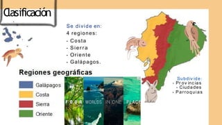 Se divide en:
4 regiones:
• Costa
• Si e r r a
• Oriente
• Galápagos.
Subdiv ide:
• Pr ov inc ias
• Ciudades
• Parroquias
C
lasificación:
 
