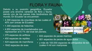 FLORA Y FAUNA
Debido a su posición geográfica, Ecuador
posee una enorme variedad de flora y fauna,
siendo uno de los paíse...