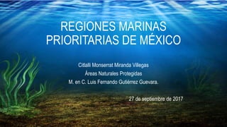 REGIONES MARINAS
PRIORITARIAS DE MÉXICO
Citlalli Monserrat Miranda Villegas
Áreas Naturales Protegidas
M. en C. Luis Fernando Gutiérrez Guevara.
27 de septiembre de 2017
 