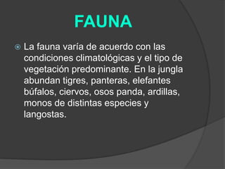 FAUNA


La fauna varía de acuerdo con las
condiciones climatológicas y el tipo de
vegetación predominante. En la jungla
abundan tigres, panteras, elefantes
búfalos, ciervos, osos panda, ardillas,
monos de distintas especies y
langostas.

 
