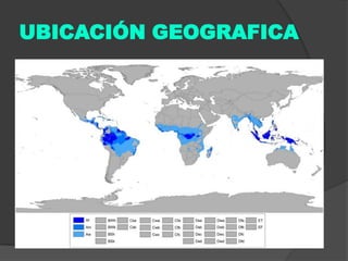 UBICACIÓN GEOGRAFICA

 