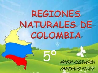 REGIONES NATURALES DE COLOMBIA 5º MAYRA ALEJANDRA ZAMBRANO PELÁEZ 