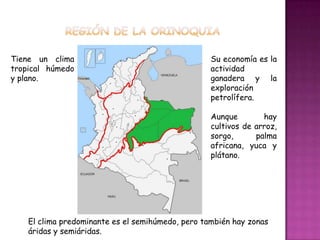 Región de la orinoquiaSu economía es la actividad ganadera y la exploración petrolífera.  Aunque hay  cultivos de arroz, sorgo, palma africana, yuca y plátano. Tiene un clima tropical húmedo y plano.El clima predominante es el semihúmedo, pero también hay zonas áridas y semiáridas. 