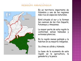 Región amazónicaEs un territorio importante de Colombia y una de las regiones más rica en especies naturales.Está situada al sur y la forman las cuencas de los ríos Caquetá, Putumayo y Amazonas. La mayor parte de esta región la conforman selvas húmedas y extensas planicies.Es la región menos poblada y la habitan en su mayoría indígenas.Su clima es cálido y húmedo.La base de la economía de esta región es la agricultura, la ganadería y la pesca