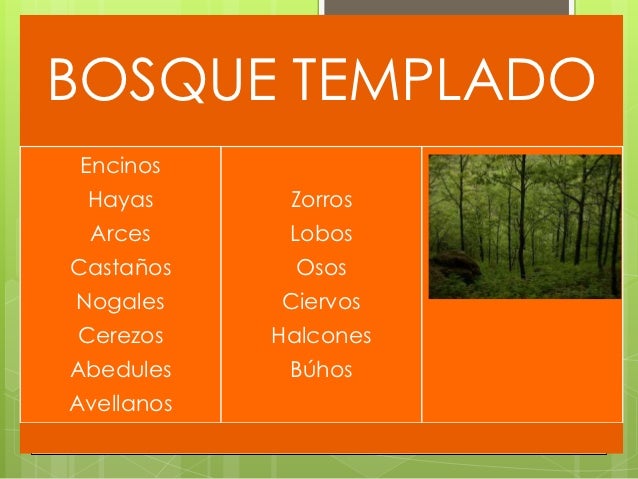 Regiones naturales
