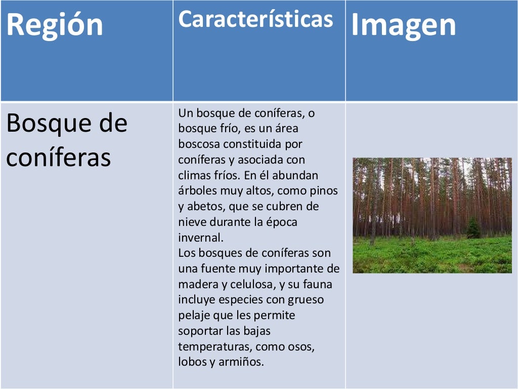 Regiones naturales