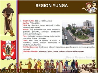 REGION YUNGA
