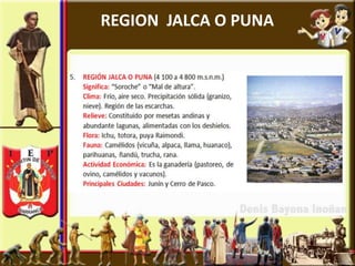REGION JALCA O PUNA