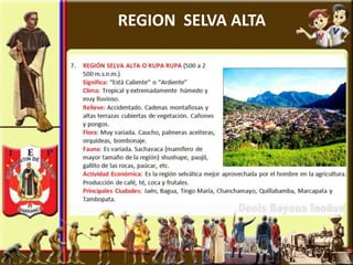 REGION SELVA ALTA