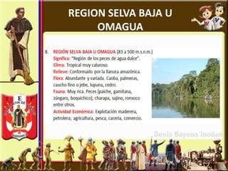 REGION SELVA BAJA U
OMAGUA