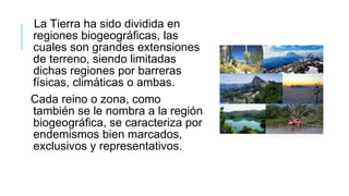 La Tierra ha sido dividida en
regiones biogeográficas, las
cuales son grandes extensiones
de terreno, siendo limitadas
dichas regiones por barreras
físicas, climáticas o ambas.
Cada reino o zona, como
también se le nombra a la región
biogeográfica, se caracteriza por
endemismos bien marcados,
exclusivos y representativos.
 
