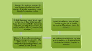 Bosques de coníferas, bosques de
pino, bosques de abeto u oyamel,
bosques de ayarín, bosques de cedro y
táscate, bosques de encino.
Se distribuyen en mayor grado en el
norte y sur de Baja California, a lo
largo de las Sierras Madre Occidental
y Oriental, en el Eje Neovolcánico, la
Sierra Norte de Oaxaca y en el sur de
Chiapas.
Clima: Se desarrollan en zonas con
temperaturas promedio entre 12 y
23°C, aunque en invierno la
temperatura puede llegar hasta por
debajo de cero grados.
En los bosques templados hay una
gran diversidad de árboles aunque
dominan las especies de pinos y
encinos.
Fauna: venado cola blanca, lince,
tlacuache, zorra gris, conejo
serrano, ardilla gris, serpiente de
cascabel.
 
