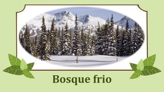 Bosque frio
 