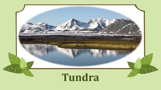 Tundra
 