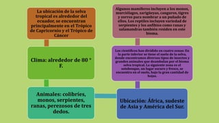 La ubicación de la selva
tropical es alrededor del
ecuador, se encuentran
principalmente en el Trópico
de Capricornio y el Trópico de
Cáncer
Clima: alrededor de 80 °
F.
Animales: colibríes,
monos, serpientes,
ranas, perezosos de tres
dedos.
Ubicación: África, sudeste
de Asia y América del Sur.
Los científicos han dividido en cuatro zonas: En
la parte inferior se tiene el suelo de la selva,
donde encontramos diversos tipos de insectos y
grandes animales que deambulan por el bioma
selva tropical. La siguiente zona es el
sotobosque, un lugar oscuro y fresco, se
encuentra en el suelo, bajo la gran cantidad de
hojas.
Algunos mamíferos incluyen a los monos,
murciélagos, zarigüeyas, canguros, tigres
y zorros para nombrar a un puñado de
ellos. Los reptiles incluyen variedad de
serpientes y los anfibios como ranas y
salamandras también residen en este
bioma.
 