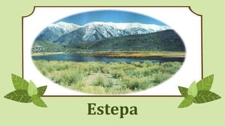 Estepa
 
