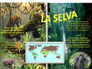 FLORA
Arboles de gran altura:caoba
ceias,helechos y el chicozapote
GRNA VARIEDAD DE ARBUSTOS de
plátano, el cacao, el cocotero, el
cedro rojo, el chicozapote de
FAUNA
monos araña y saraguatos,
ardillas, tlacuaches y murciélagos.
Los Tucanes, las guacamayas
tapires, jaguares, armadillos el
perezoso y el oso hormiguero,
•aquí vive la mayor
variedad de las plantas y
los animales que habitan la
tierra.
CLIMA
Clima tropical con
temperaturas de 27 grados
hace calor lo mismo
durante el día que en la
noche
de las lluvias cae durante la
mayor parte del año
 