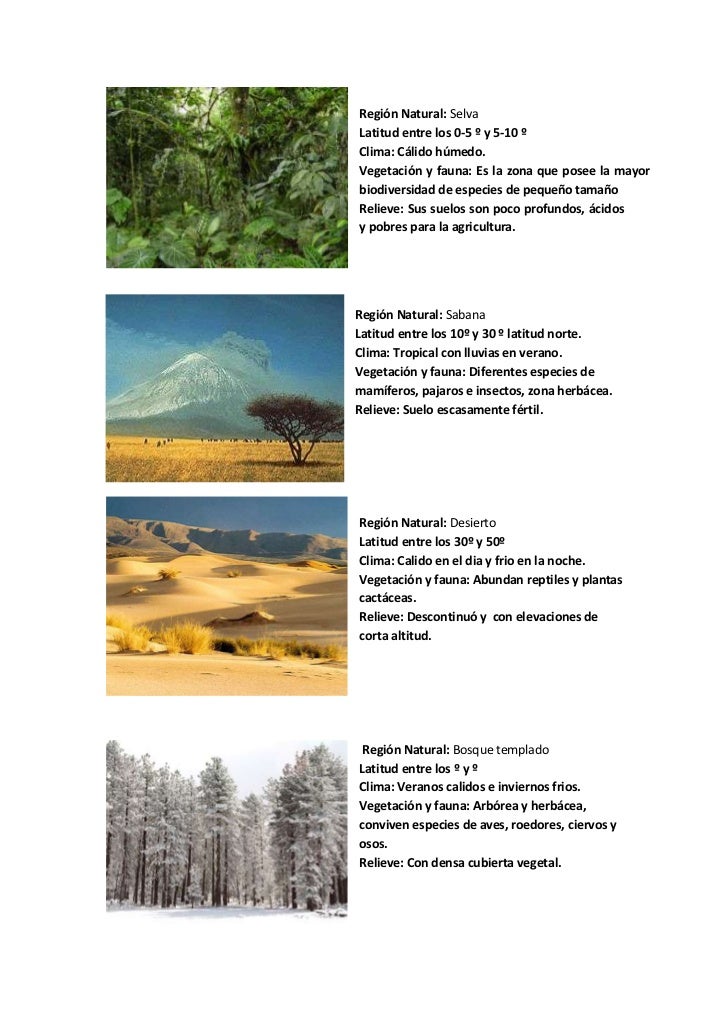 Cuales Son Las Diferentes Regiones Naturales Que Existen