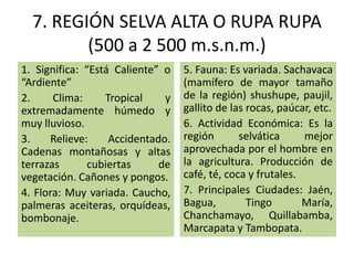 7. REGIÓN SELVA ALTA O RUPA RUPA
(500 a 2 500 m.s.n.m.)
1. Significa: “Está Caliente” o
“Ardiente”
2. Clima: Tropical y
extremadamente húmedo y
muy lluvioso.
3. Relieve: Accidentado.
Cadenas montañosas y altas
terrazas cubiertas de
vegetación. Cañones y pongos.
4. Flora: Muy variada. Caucho,
palmeras aceiteras, orquídeas,
bombonaje.
5. Fauna: Es variada. Sachavaca
(mamífero de mayor tamaño
de la región) shushupe, paujil,
gallito de las rocas, paúcar, etc.
6. Actividad Económica: Es la
región selvática mejor
aprovechada por el hombre en
la agricultura. Producción de
café, té, coca y frutales.
7. Principales Ciudades: Jaén,
Bagua, Tingo María,
Chanchamayo, Quillabamba,
Marcapata y Tambopata.
 