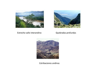 Estrecho valle interandino Quebradas profundas
Estribaciones andinas
 