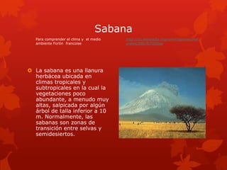 Sabana
   Para comprender el clima y el medio   http://es.wikipedia.org/wiki/regiones/nat
   ambiente Fortin francoise             urales/586767000iop




 La sabana es una llanura
  herbácea ubicada en
  climas tropicales y
  subtropicales en la cual la
  vegetaciones poco
  abundante, a menudo muy
  altas, salpicada por algún
  árbol de talla inferior a 10
  m. Normalmente, las
  sabanas son zonas de
  transición entre selvas y
  semidesiertos.
 