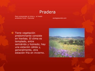Pradera
  Para comprender el clima y el medio
  ambiente Fortin francoise             ecologiaverde.com




 Tiene vegetación
  predominante consiste
  en hierbas. El clima es
  templado, entre
  semiárido y húmedo; hay
  una estación cálida y,
  generalmente, otra
  estación fría en invierno.
 