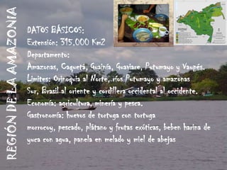 REGIÓN DE LA AMAZONIA
                        DATOS BÁSICOS:
                        Extensión: 315.000 Km2
                        Departamento:
                        Amazonas, Caquetá, Guainía, Guaviare, Putumayo y Vaupés.
                        Limites: Orinoquia al Norte, ríos Putumayo y amazonas
                        Sur, Brasil al oriente y cordillera occidental al occidente.
                        Economía: agricultura, minería y pesca.
                        Gastronomía: huevos de tortuga con tortuga
                        morrocoy, pescado, plátano y frutas exóticas, beben harina de
                        yuca con agua, panela en melado y miel de abejas
 