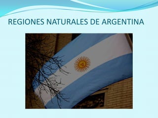 REGIONES NATURALES DE ARGENTINA 