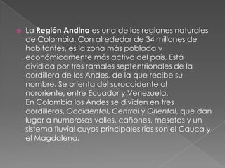  La Región Andina es una de las regiones naturales
de Colombia. Con alrededor de 34 millones de
habitantes, es la zona más poblada y
económicamente más activa del país. Está
dividida por tres ramales septentrionales de la
cordillera de los Andes, de la que recibe su
nombre. Se orienta del suroccidente al
nororiente, entre Ecuador y Venezuela.
En Colombia los Andes se dividen en tres
cordilleras, Occidental, Central y Oriental, que dan
lugar a numerosos valles, cañones, mesetas y un
sistema fluvial cuyos principales ríos son el Cauca y
el Magdalena.
 