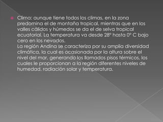 Clima: aunque tiene todos los climas, en la zona
predomina el de montaña tropical, mientras que en los
valles cálidos y húmedos se da el de selva tropical
ecuatorial. La temperatura va desde 28° hasta 0° C bajo
cero en los nevados.
La región Andina se caracteriza por su amplia diversidad
climática, la cual es ocasionada por la altura sobre el
nivel del mar, generando los llamados pisos térmicos, los
cuales le proporcionan a la región diferentes niveles de
humedad, radiación solar y temperatura.
 