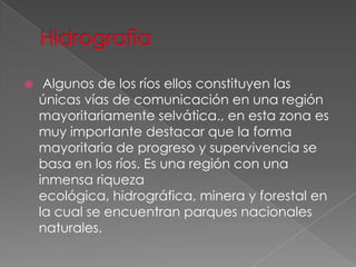  Algunos de los ríos ellos constituyen las
únicas vías de comunicación en una región
mayoritariamente selvática., en esta zona es
muy importante destacar que la forma
mayoritaria de progreso y supervivencia se
basa en los ríos. Es una región con una
inmensa riqueza
ecológica, hidrográfica, minera y forestal en
la cual se encuentran parques nacionales
naturales.
 