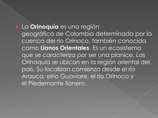  La Orinoquía es una región
geográfica de Colombia determinada por la
cuenca del río Orinoco, también conocida
como Llanos Orientales. Es un ecosistema
que se caracteriza por ser una planice. Las
Orinoquia se ubican en la región oriental del
país. Su localizan comienza desde el río
Arauca, elrío Guaviare, el río Orinoco y
el Piedemonte llanero.
 