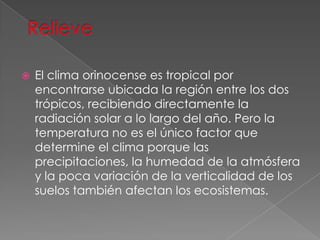  El clima orinocense es tropical por
encontrarse ubicada la región entre los dos
trópicos, recibiendo directamente la
radiación solar a lo largo del año. Pero la
temperatura no es el único factor que
determine el clima porque las
precipitaciones, la humedad de la atmósfera
y la poca variación de la verticalidad de los
suelos también afectan los ecosistemas.
 