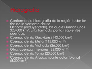  Conforman la hidrografía de la región todos los
ríos de la vertiente del río
Orinoco (incluyéndole), los cuales suman unos
328.000 km². Está formada por las siguientes
cuencas:
 Cuenca del río Guaviare (140.000 km²)
 Cuenca del río Meta (112.000 km²)
 Cuenca del río Vichada (26.000 km²)
 Otras cuencas menores (22.000 km²)
 Cuenca del río Tomo (20.000 km²)
 Cuenca del río Arauca (parte colombiana)
(8.000 km²)
 