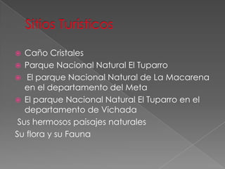  Caño Cristales
 Parque Nacional Natural El Tuparro
 El parque Nacional Natural de La Macarena
en el departamento del Meta
 El parque Nacional Natural El Tuparro en el
departamento de Vichada
Sus hermosos paisajes naturales
Su flora y su Fauna
 