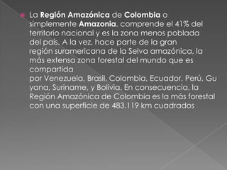  La Región Amazónica de Colombia o
simplemente Amazonia, comprende el 41% del
territorio nacional y es la zona menos poblada
del país. A la vez, hace parte de la gran
región suramericana de la Selva amazónica, la
más extensa zona forestal del mundo que es
compartida
por Venezuela, Brasil, Colombia, Ecuador, Perú, Gu
yana, Suriname, y Bolivia. En consecuencia, la
Región Amazónica de Colombia es la más forestal
con una superficie de 483.119 km cuadrados
 