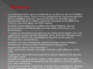  La zona Subandina que se extiende en los flancos de la Cordillera
Oriental de la Sierra. Para muchos geógrafos es una prolongación
de la Cordillera Oriental. Aquí se localizan los ramales que se
desprenden de la Cordillera Oriental; sobresale la Cordillera de
Cutucú, con una altura de 2000 metros.
 También se localizan la Cordillera de Napo Galeras, de Los
Guacamayos, y entre las elevaciones están el Sumaco y el
Reventador.
 • La llanura amazónica ocupa casi la mitad de la región con una
vegetación propia de flora tropical. Tiene altitudes menores a los
300 metros; los ríos son caudalosos y muchos sirven para la
navegación y el comercio.
 Debido a las dos subregiones climáticas que posee la Región
Amazónica, la flora puede clasificarse en dos grupos:
 Vegetación de la zona Subandina:
Fréjol, garbanzo, arveja, naranjilla, tomate, café, plátano, entre
otros.
 Vegetación de la llanura amazónica: selvas vírgenes con árboles
naturales como
romerillo, laurel, guayacán, ceibo, café, tabaco, etc. También
existe una variedad de especies de orquídeas, y muchas plantas
con valor medicinal.
 La fauna nos ofrece: mariposas, monos, loros, papagayos, delfines
 