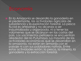  En la Amazonía se desarrolla la ganadería en
el piedemonte, las actividades agrícolas de
subsistencia y la explotación forestal. La pesca
fluvial es artesanal y no alcanza a ser
industrializada u organizada, ni a tener los
volúmenes que se alcanzan en las costas del
país. Los yacimientos petroleros se encuentran
alrededor del río Putumayo. La mayoría de las
actividades económicas que se desarrollan en
la amazonia, no están en armonía con el
paisaje ni con sus pobladores nativos. Entre
estas actividades están: la pesca, la minería, la
ganadería y la extracción forestal.
 