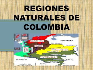 REGIONES
NATURALES DE
COLOMBIA
 