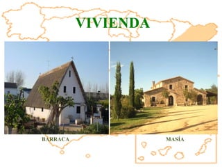 BARRACA MASÍA VIVIENDA 