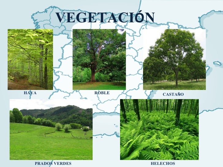 Regiones Naturales De Espana