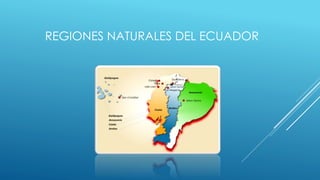 REGIONES NATURALES DEL ECUADOR 
 