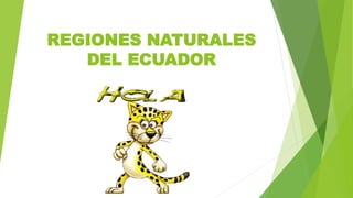 REGIONES NATURALES
DEL ECUADOR
 