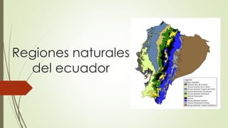 Regiones naturales
del ecuador
 
