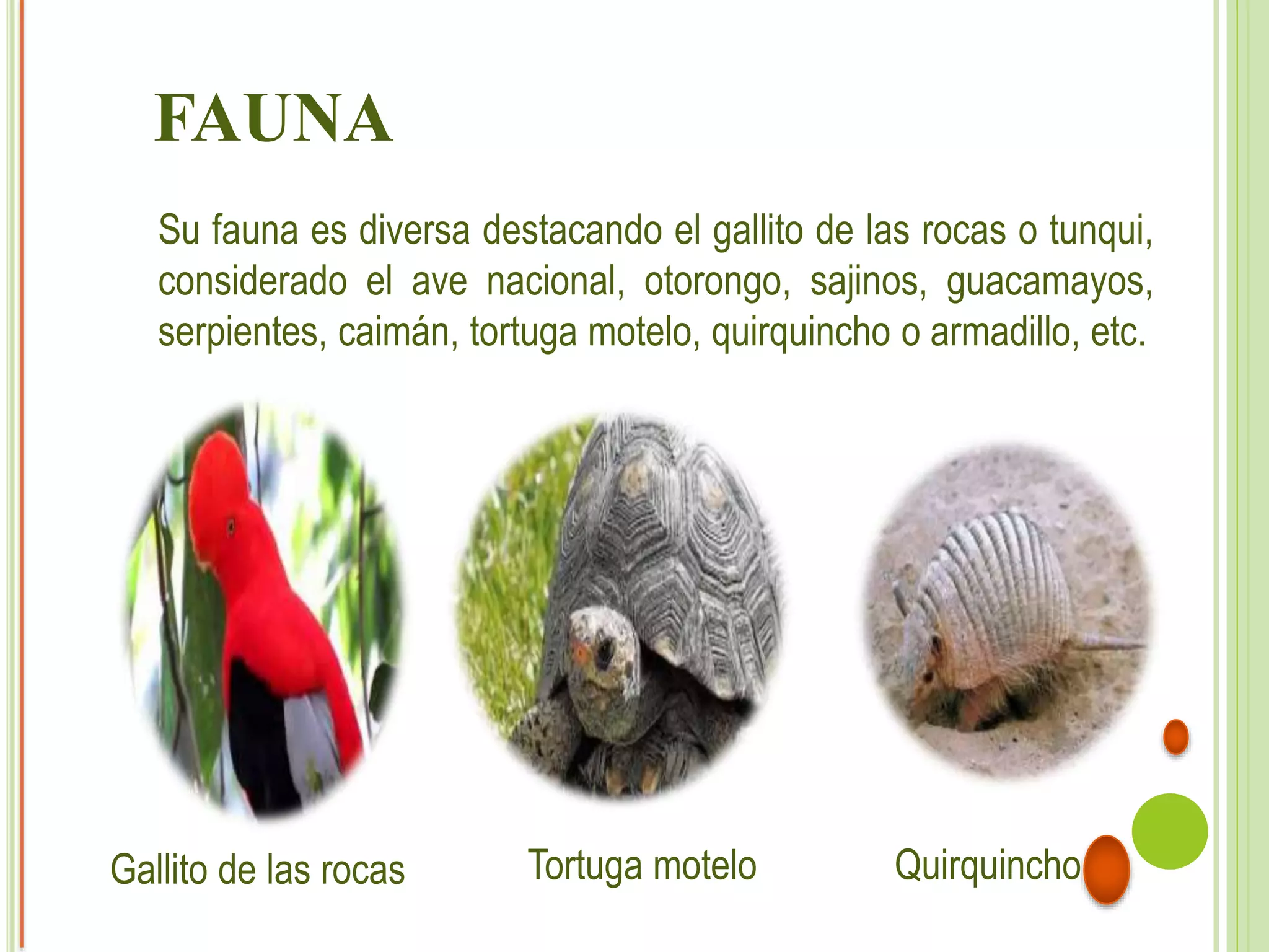 Rupa Rupa Mapa Regiones Naturales del Perú- rupa rupa.pptx